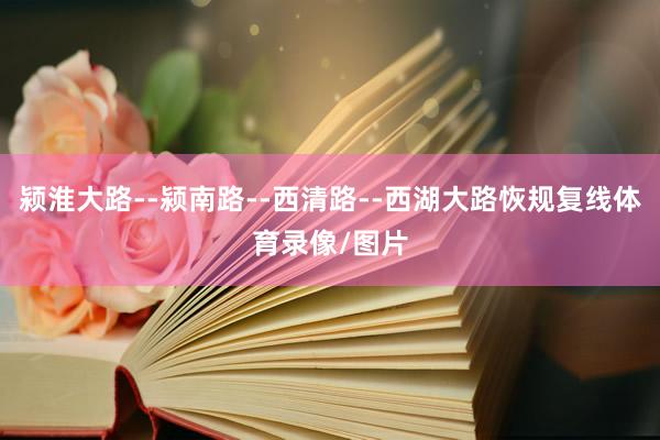 颍淮大路--颍南路--西清路--西湖大路恢规复线体育录像/图片
