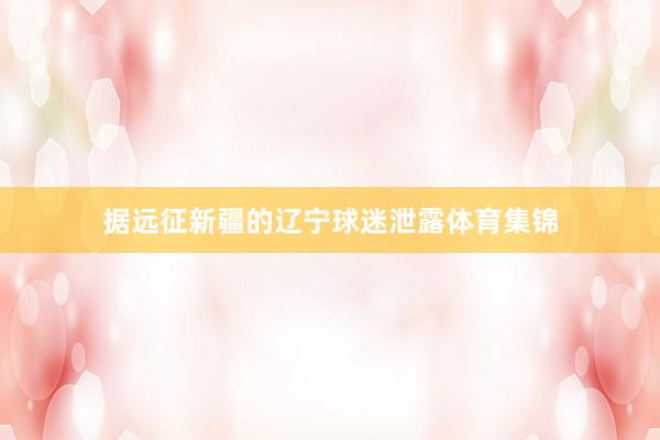 据远征新疆的辽宁球迷泄露体育集锦