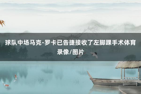 球队中场马克-罗卡已告捷接收了左脚踝手术体育录像/图片