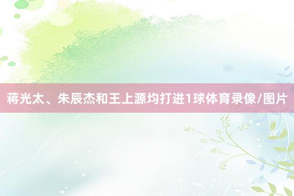 蒋光太、朱辰杰和王上源均打进1球体育录像/图片