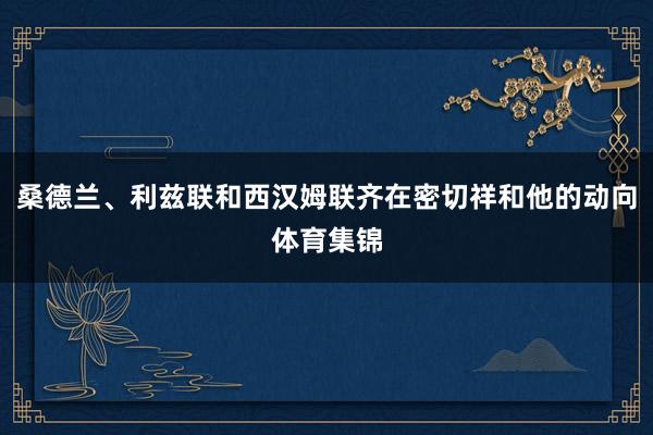 桑德兰、利兹联和西汉姆联齐在密切祥和他的动向体育集锦