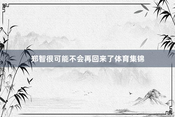 郑智很可能不会再回来了体育集锦