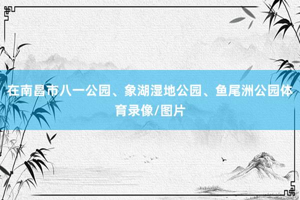 在南昌市八一公园、象湖湿地公园、鱼尾洲公园体育录像/图片