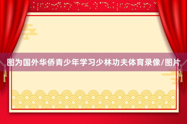 图为国外华侨青少年学习少林功夫体育录像/图片