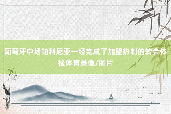 葡萄牙中场帕利尼亚一经完成了加盟热刺的转会体检体育录像/图片