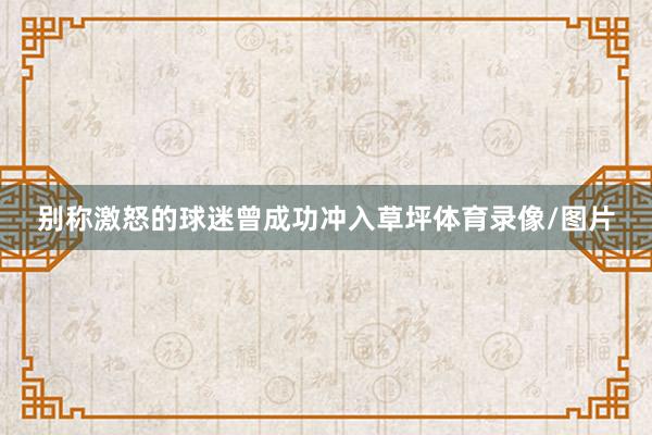 别称激怒的球迷曾成功冲入草坪体育录像/图片