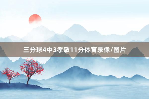 三分球4中3孝敬11分体育录像/图片