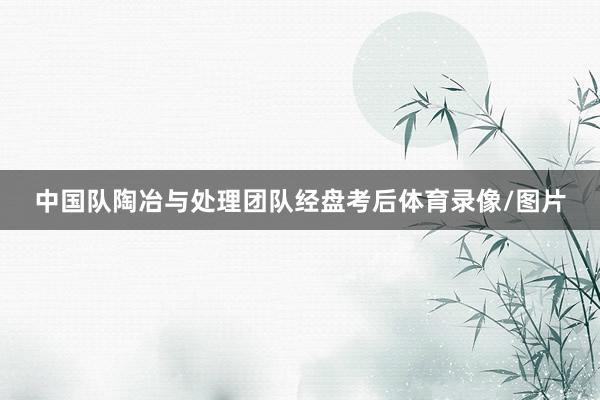 中国队陶冶与处理团队经盘考后体育录像/图片