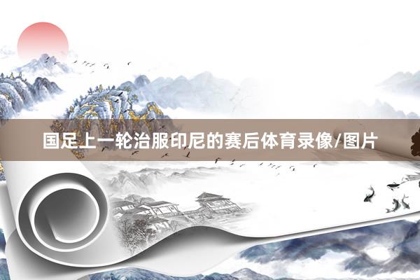 国足上一轮治服印尼的赛后体育录像/图片
