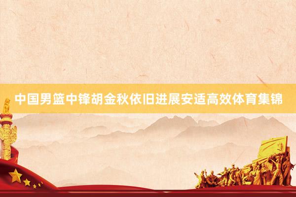 中国男篮中锋胡金秋依旧进展安适高效体育集锦