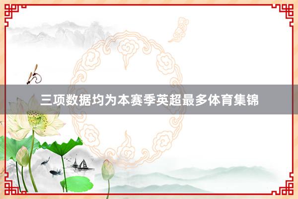 三项数据均为本赛季英超最多体育集锦