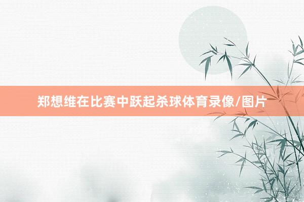 郑想维在比赛中跃起杀球体育录像/图片
