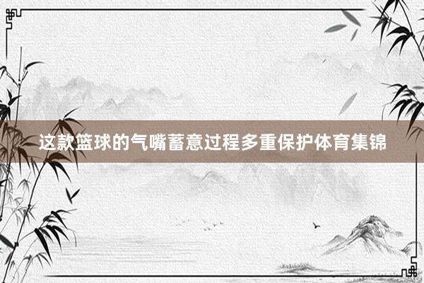 这款篮球的气嘴蓄意过程多重保护体育集锦