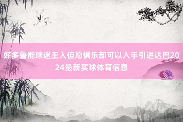 好多鲁能球迷王人但愿俱乐部可以入手引进达巴2024最新买球体育信息