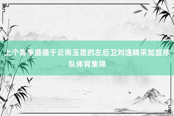 上个赛季遵循于云南玉昆的左后卫刘逸精采加盟球队体育集锦