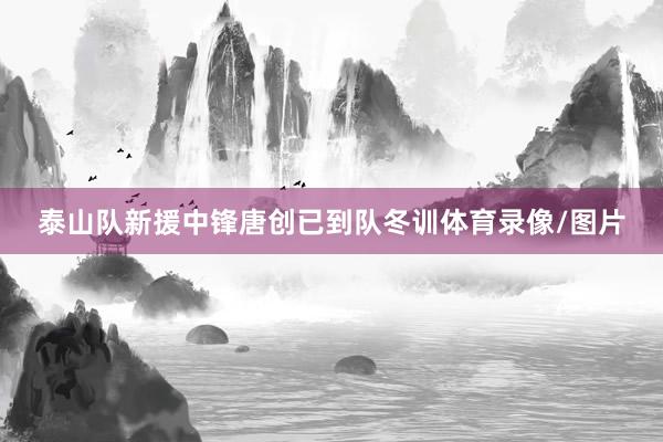 泰山队新援中锋唐创已到队冬训体育录像/图片