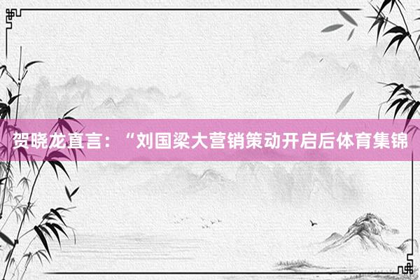 贺晓龙直言：“刘国梁大营销策动开启后体育集锦