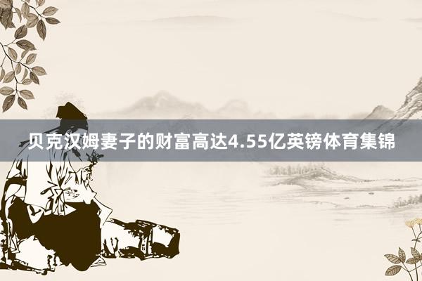 贝克汉姆妻子的财富高达4.55亿英镑体育集锦