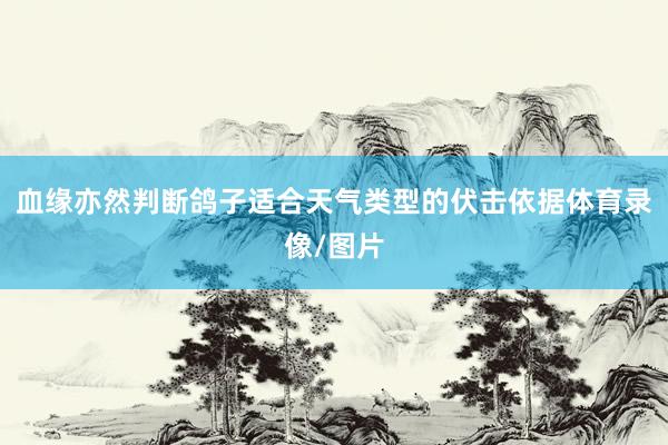 血缘亦然判断鸽子适合天气类型的伏击依据体育录像/图片
