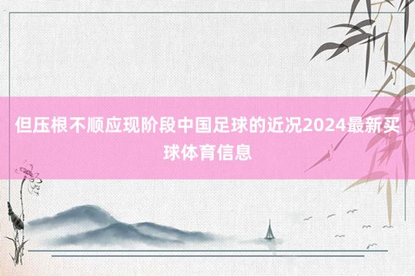 但压根不顺应现阶段中国足球的近况2024最新买球体育信息