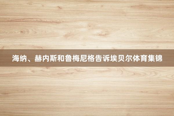 海纳、赫内斯和鲁梅尼格告诉埃贝尔体育集锦