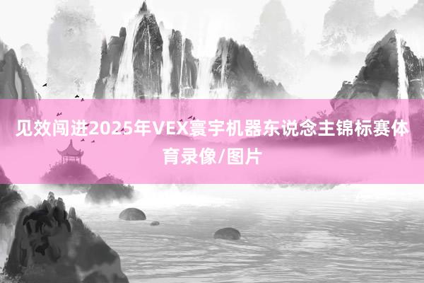 见效闯进2025年VEX寰宇机器东说念主锦标赛体育录像/图片