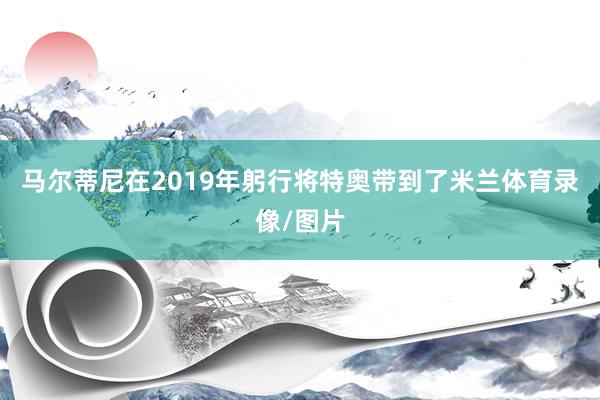 马尔蒂尼在2019年躬行将特奥带到了米兰体育录像/图片