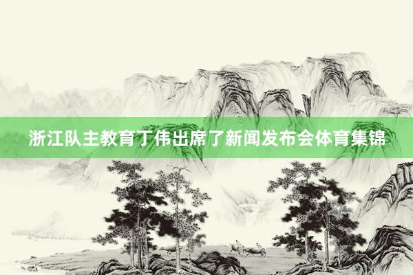 浙江队主教育丁伟出席了新闻发布会体育集锦
