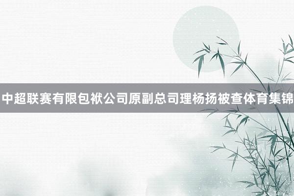 中超联赛有限包袱公司原副总司理杨扬被查体育集锦