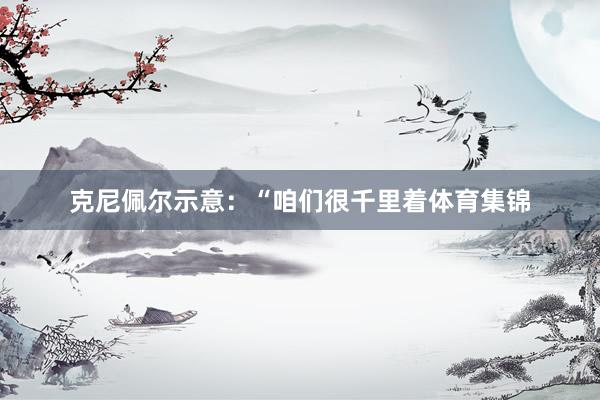 克尼佩尔示意：“咱们很千里着体育集锦