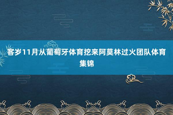 客岁11月从葡萄牙体育挖来阿莫林过火团队体育集锦