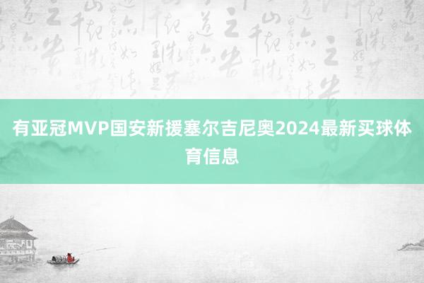 有亚冠MVP国安新援塞尔吉尼奥2024最新买球体育信息