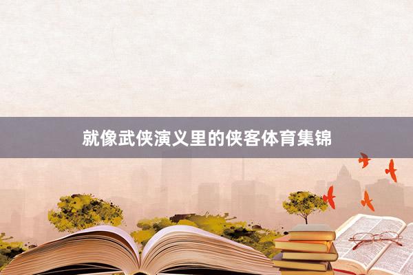 就像武侠演义里的侠客体育集锦