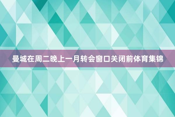 曼城在周二晚上一月转会窗口关闭前体育集锦