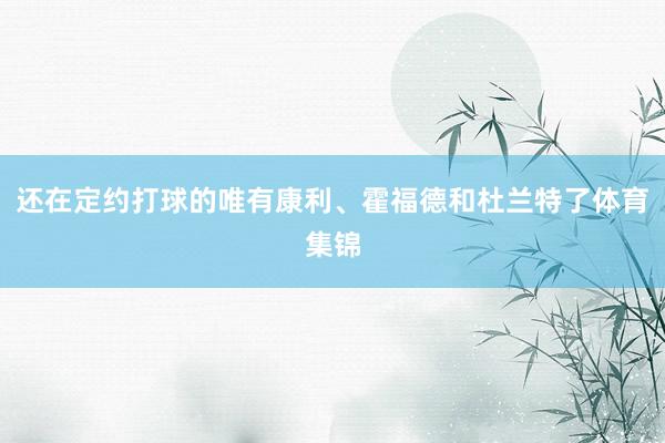 还在定约打球的唯有康利、霍福德和杜兰特了体育集锦