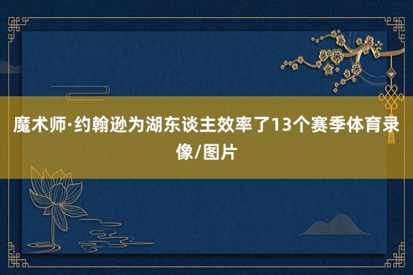 魔术师·约翰逊为湖东谈主效率了13个赛季体育录像/图片