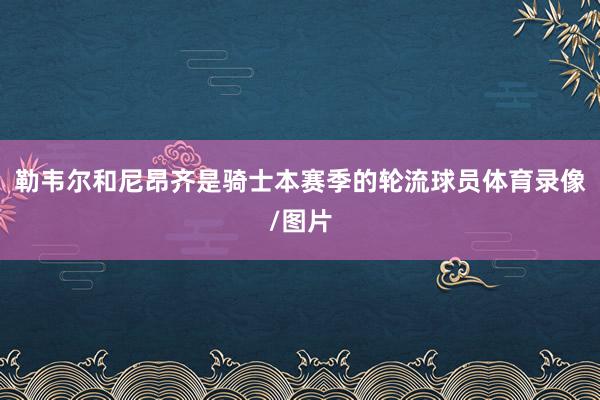 勒韦尔和尼昂齐是骑士本赛季的轮流球员体育录像/图片