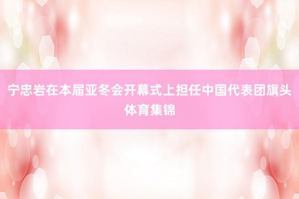 宁忠岩在本届亚冬会开幕式上担任中国代表团旗头体育集锦