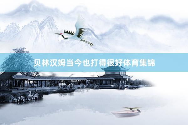 贝林汉姆当今也打得很好体育集锦