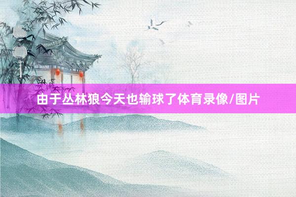 由于丛林狼今天也输球了体育录像/图片