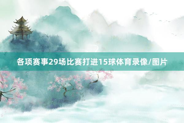 各项赛事29场比赛打进15球体育录像/图片