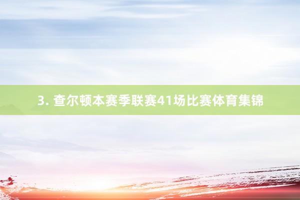 3. 查尔顿本赛季联赛41场比赛体育集锦