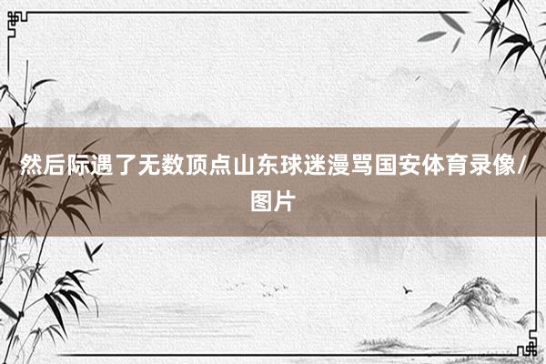 然后际遇了无数顶点山东球迷漫骂国安体育录像/图片