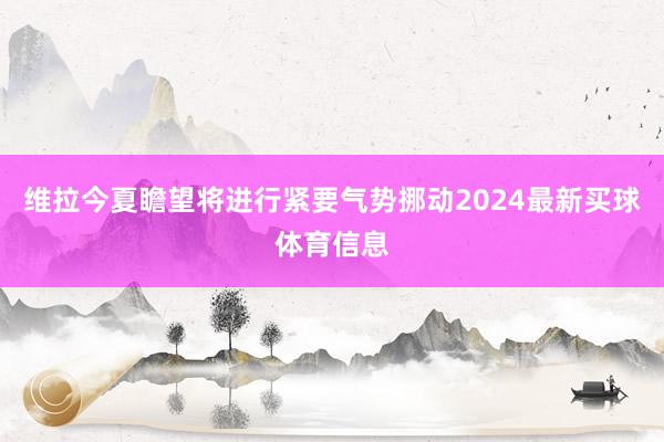 维拉今夏瞻望将进行紧要气势挪动2024最新买球体育信息