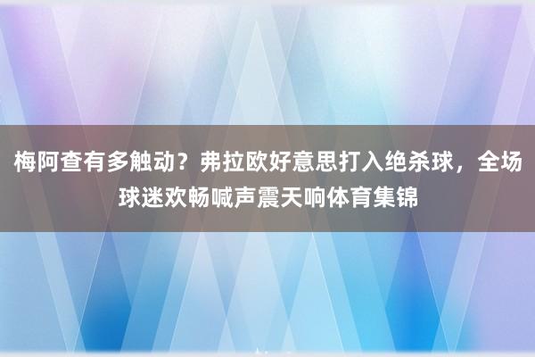 梅阿查有多触动？弗拉欧好意思打入绝杀球，全场球迷欢畅喊声震天响体育集锦