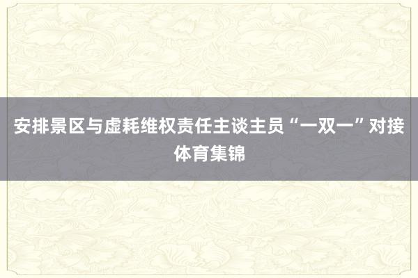 安排景区与虚耗维权责任主谈主员“一双一”对接体育集锦