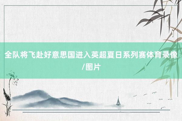 全队将飞赴好意思国进入英超夏日系列赛体育录像/图片