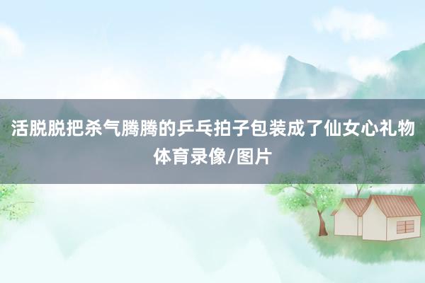 活脱脱把杀气腾腾的乒乓拍子包装成了仙女心礼物体育录像/图片