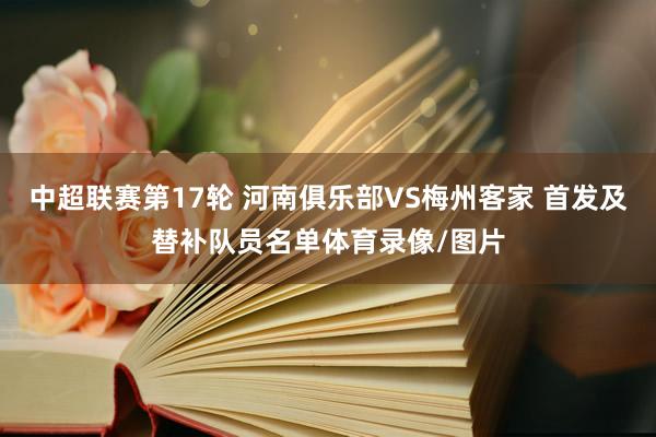 中超联赛第17轮 河南俱乐部VS梅州客家 首发及替补队员名单体育录像/图片