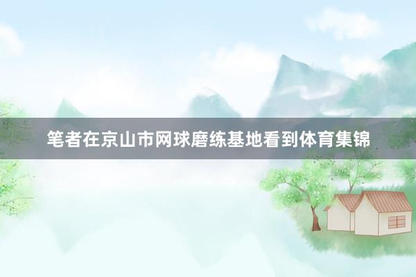 笔者在京山市网球磨练基地看到体育集锦